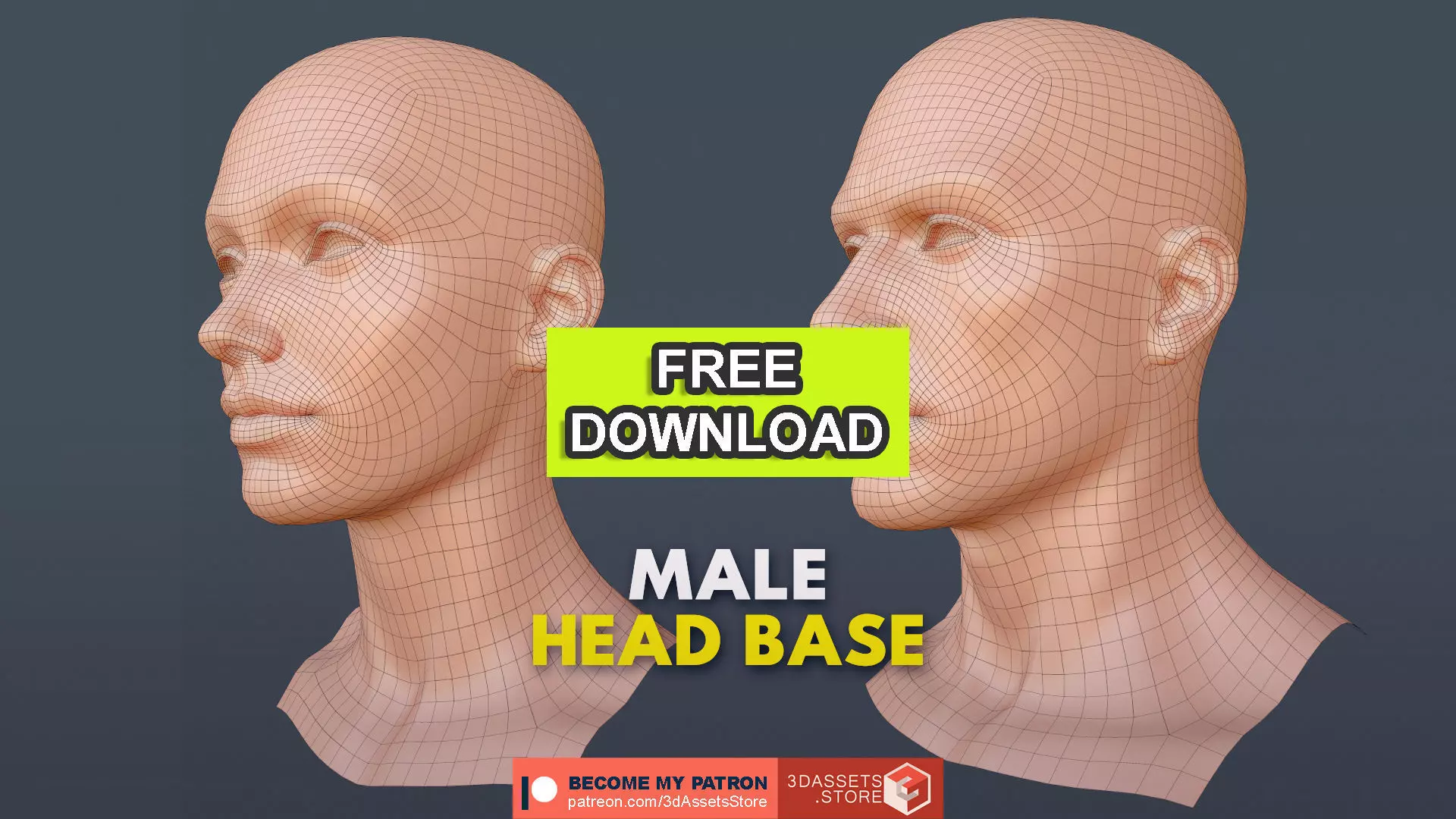Character - Female Male Head Base Mesh Blendshape Low-poly 3D model_0