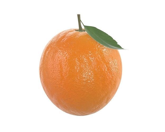orange with leaf 3D model