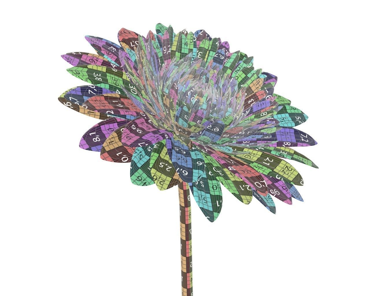 gerbera flower 3D model_9