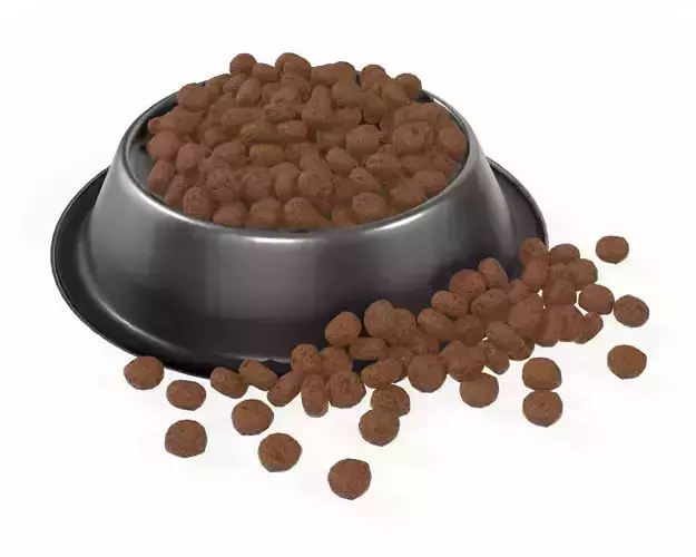 dog food bowl with food 2 3D model