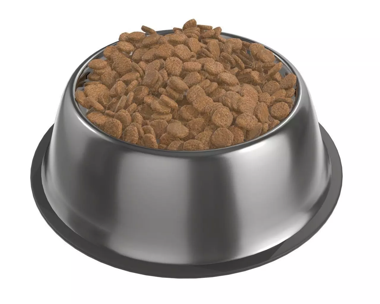 dog food bowl with food 3D model_0