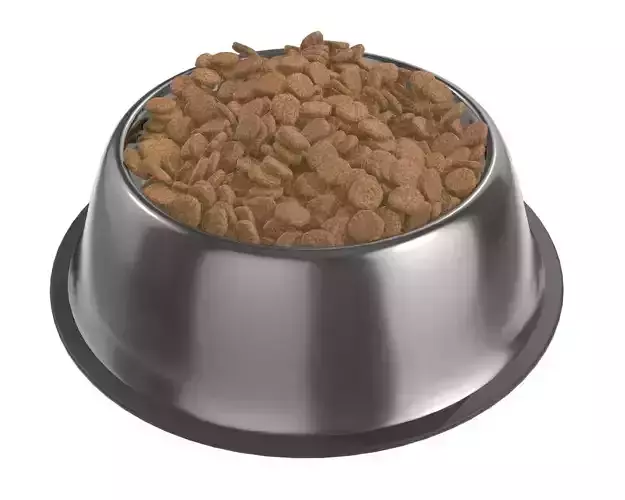 dog food bowl with food 3D model