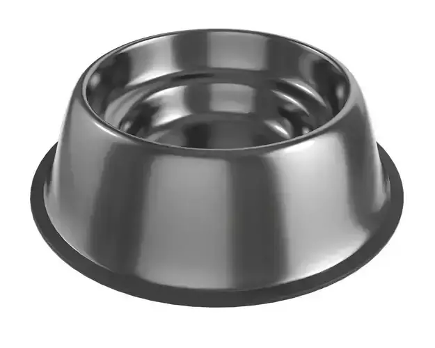 dog food bowl empty 3D model