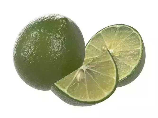 citrus lime fruit 3D model