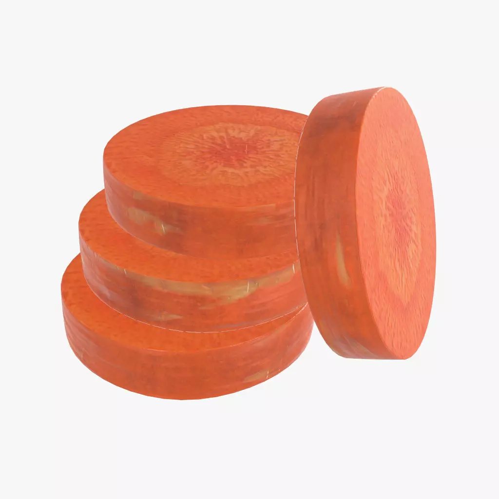 carrot slices 3D model_0