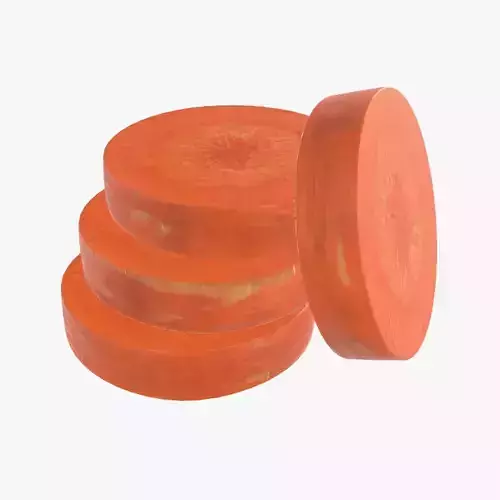 carrot slices 3D model