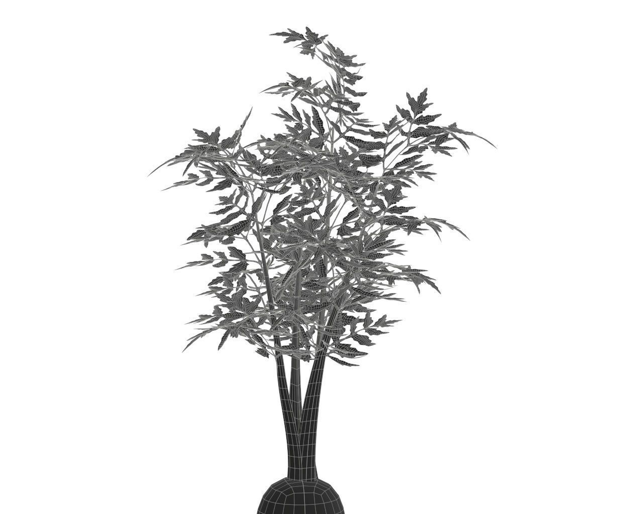 carrot 03 3D model_7