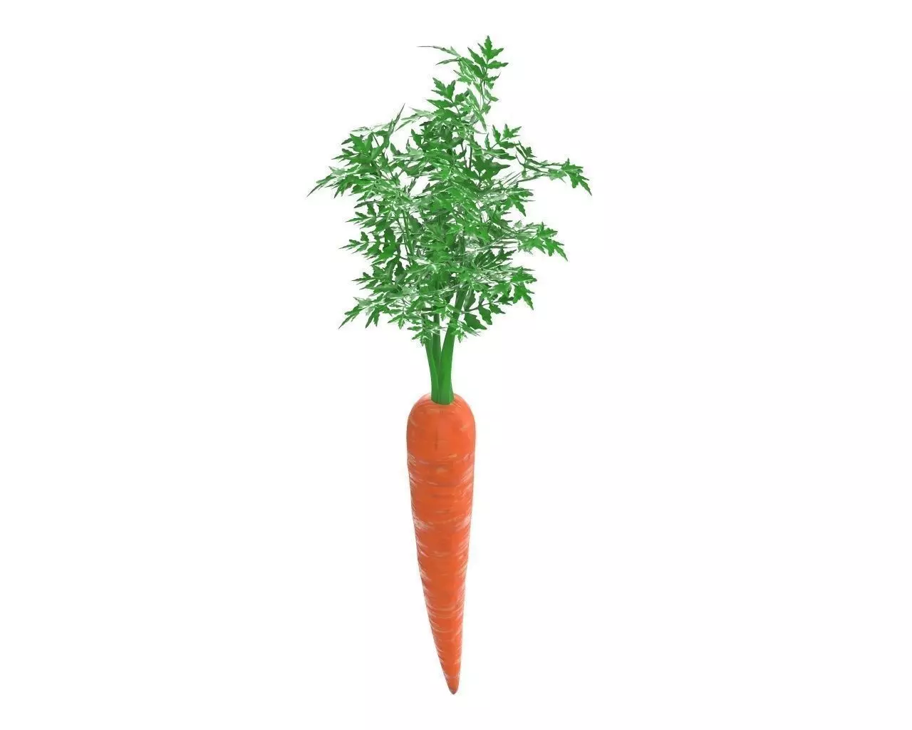 carrot 03 3D model_0