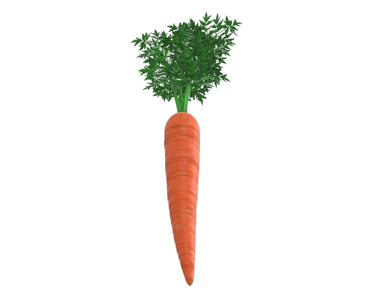 carrot 03 3D model_4