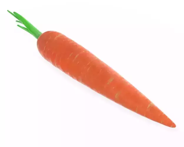 carrot 01 3D model