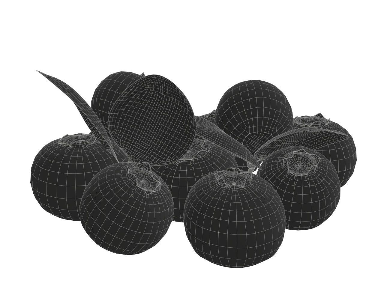 blueberries 3D model_6