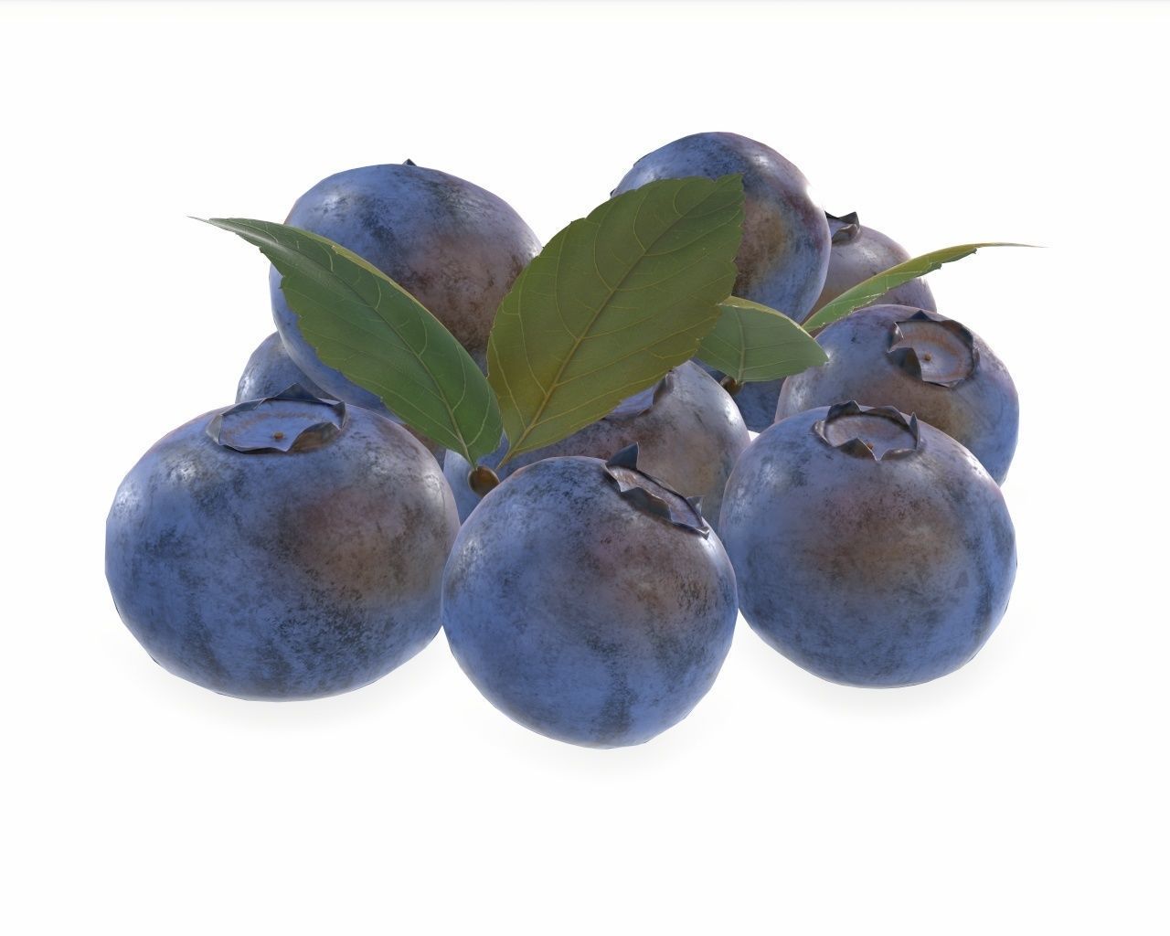 blueberries 3D model_3