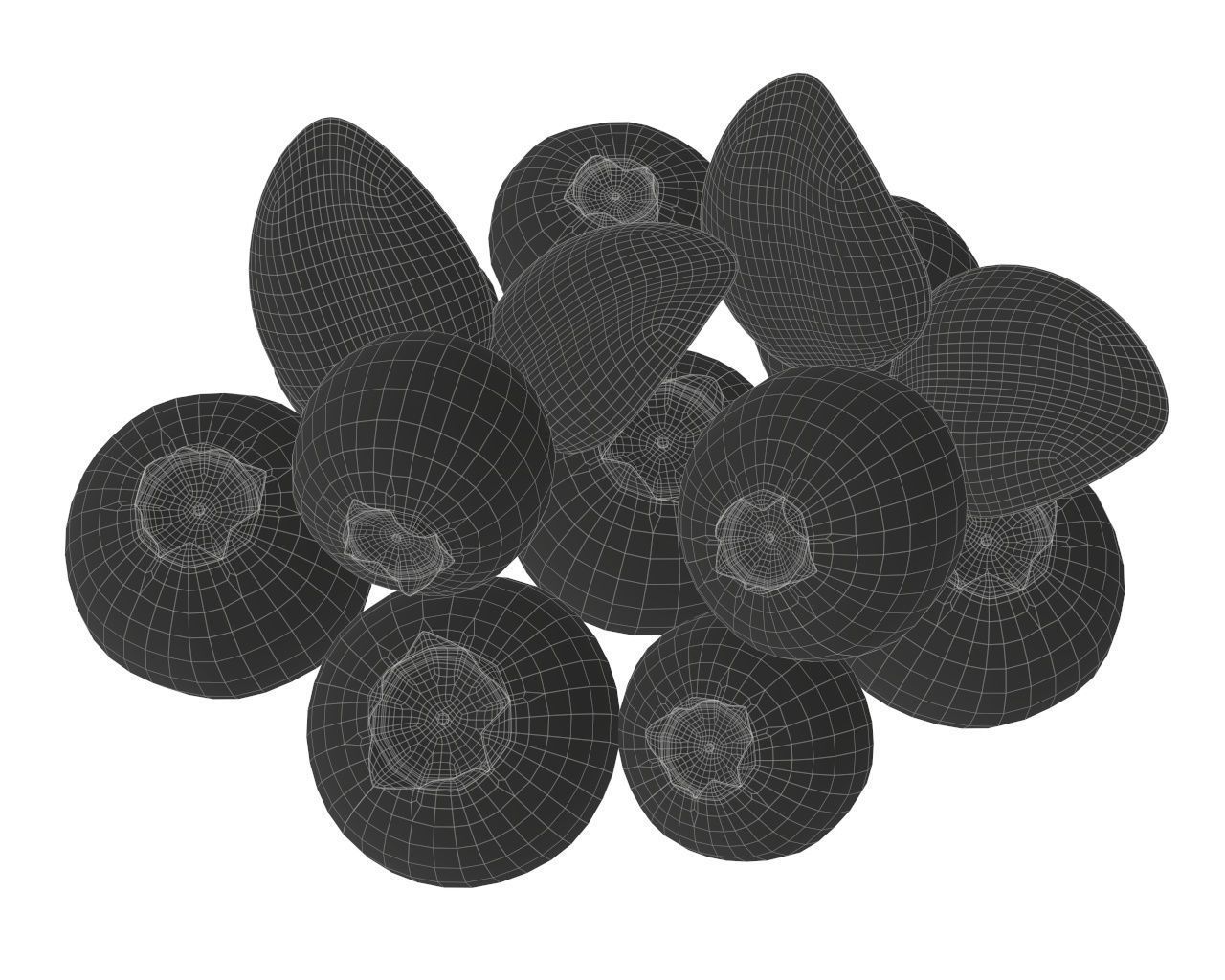 blueberries 3D model_8