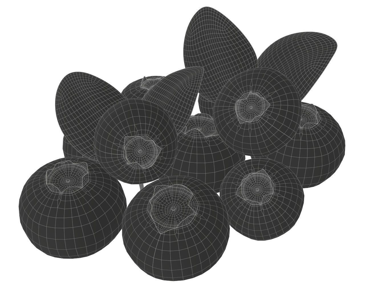blueberries 3D model_5