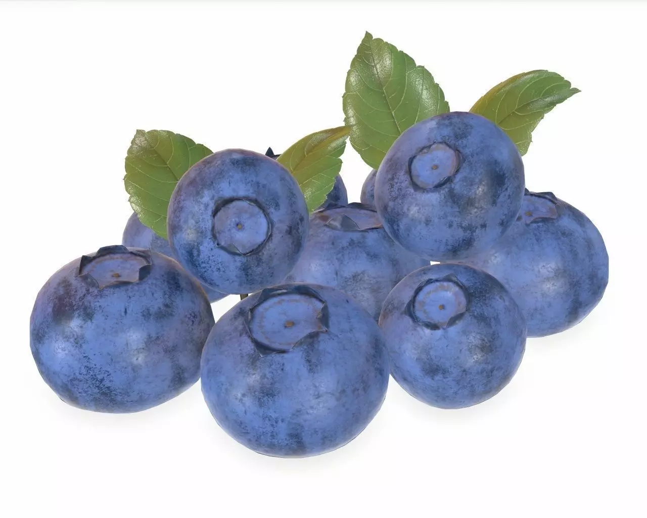blueberries 3D model_0
