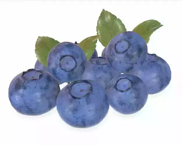 blueberries 3D model