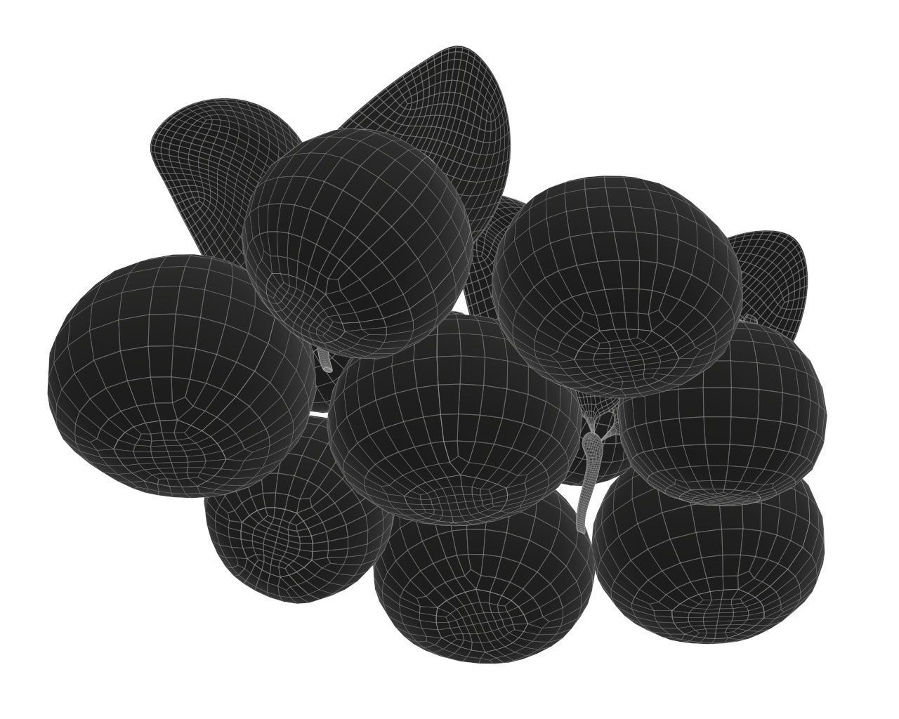 blueberries 3D model_7