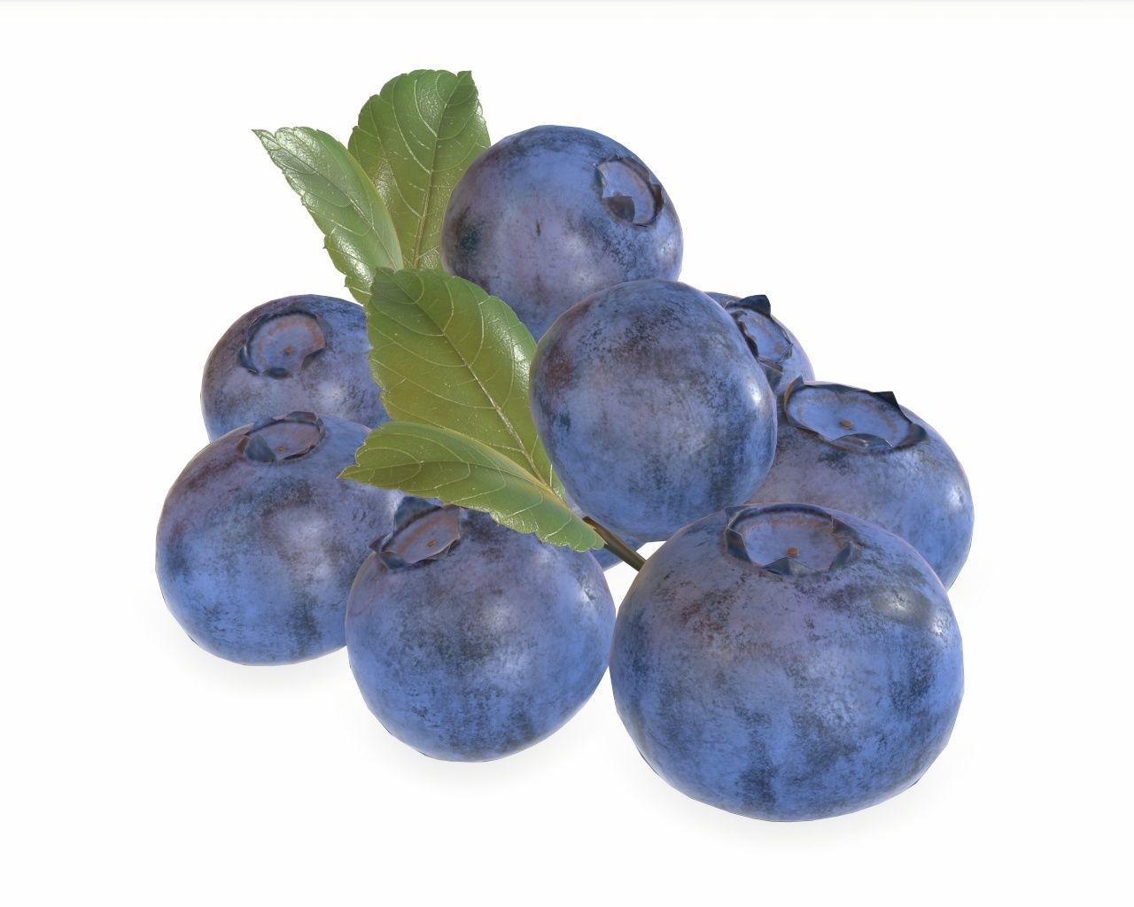 blueberries 3D model_2