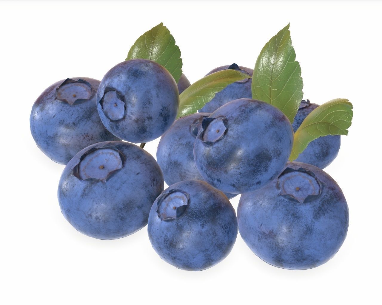 blueberries 3D model_4