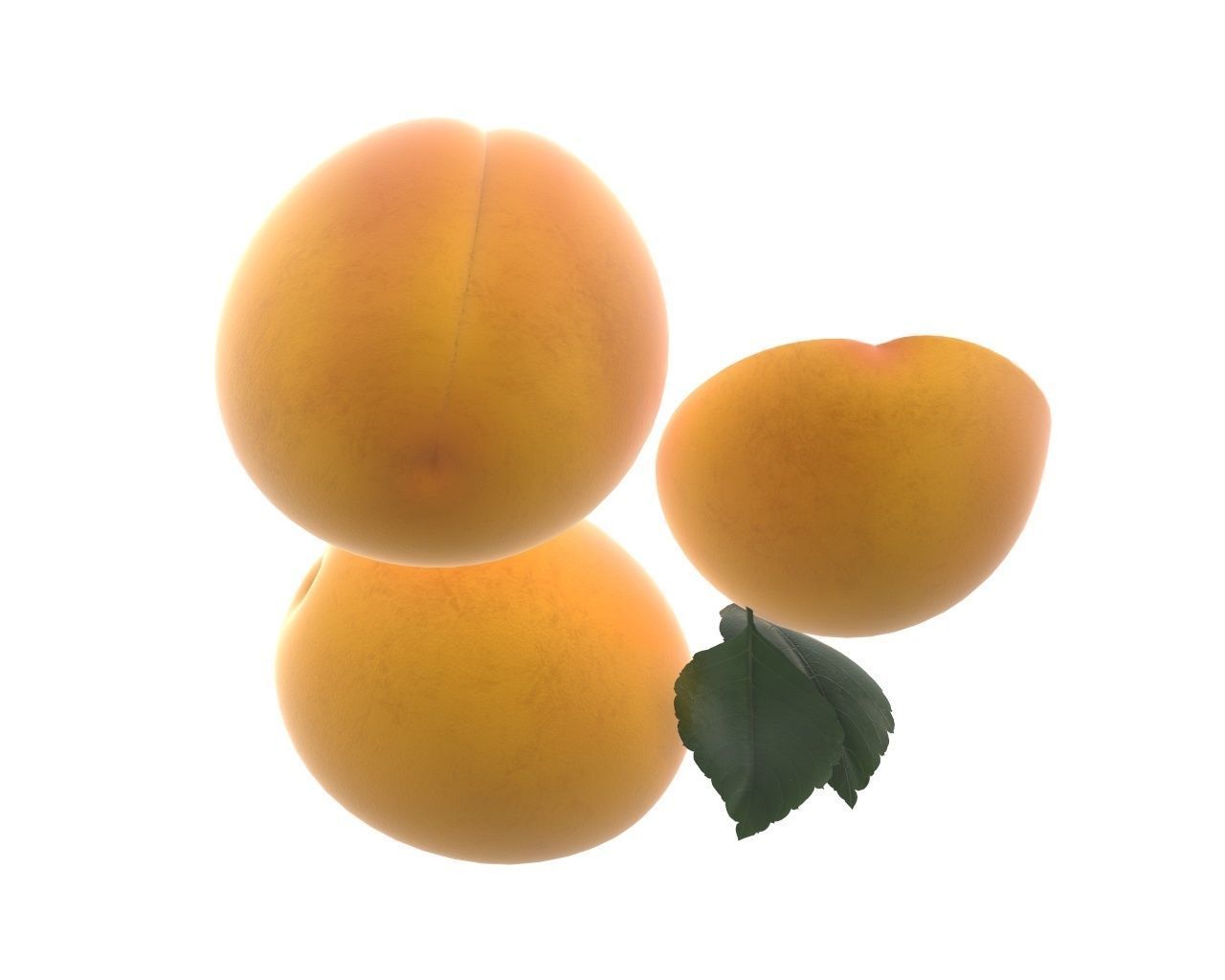 apricot fresh cut fruits with leaf 3D model_5