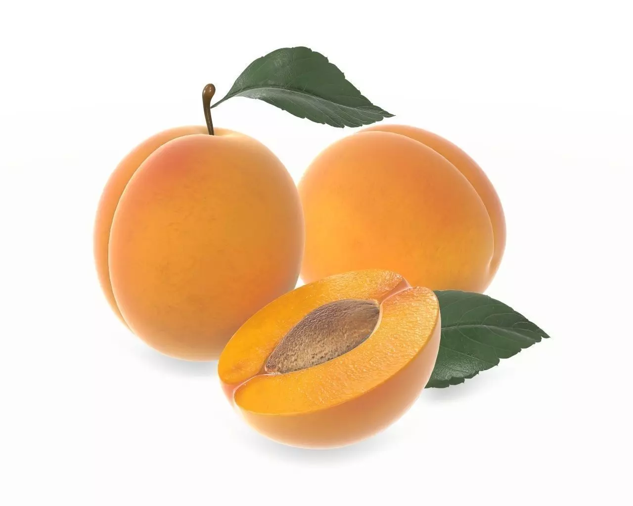 apricot fresh cut fruits with leaf 3D model_0