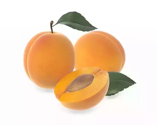 apricot fresh cut fruits with leaf 3D model