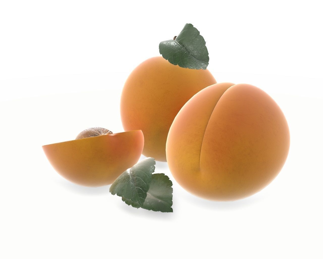 apricot fresh cut fruits with leaf 3D model_4