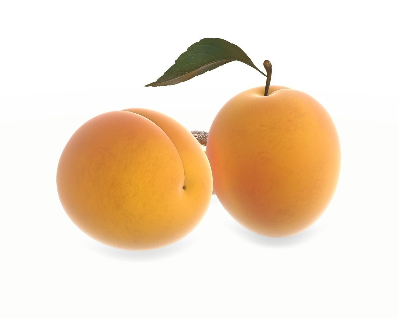 apricot fresh cut fruits with leaf 3D model_3