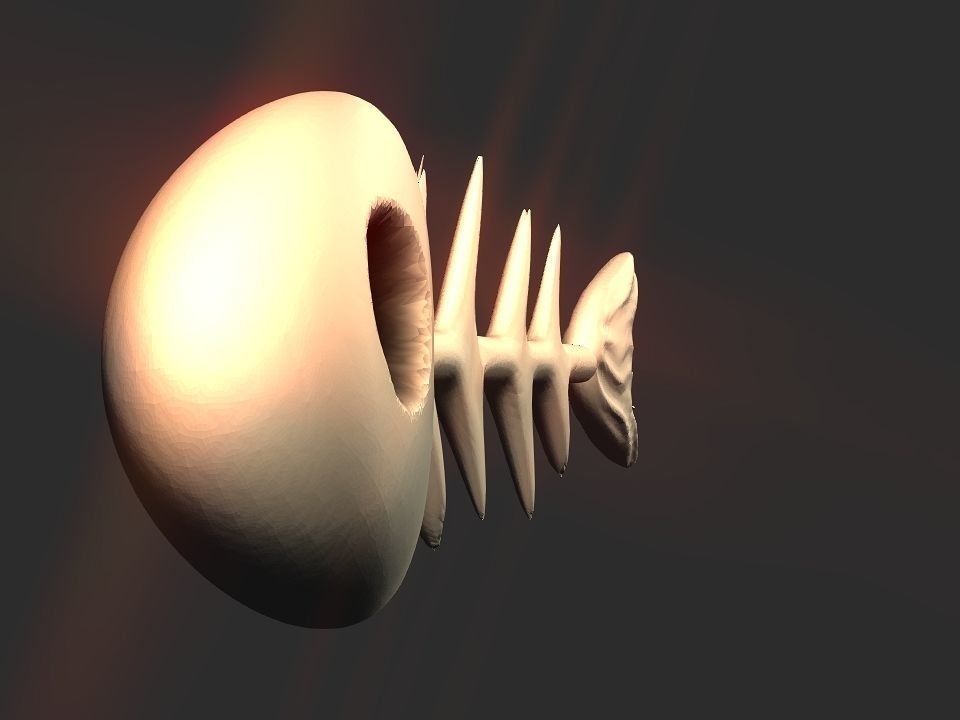 Fish skeletoon 3D print 3D print model_9