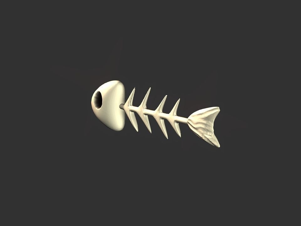 Fish skeletoon 3D print 3D print model_34