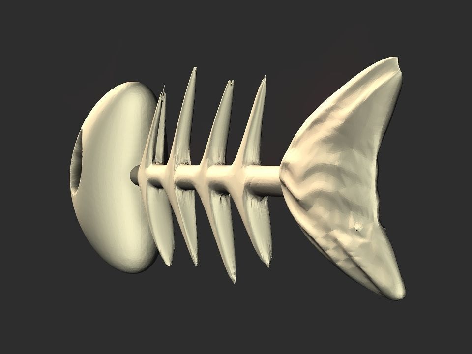 Fish skeletoon 3D print 3D print model_20