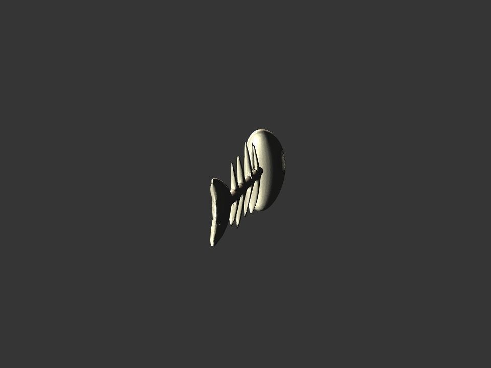 Fish skeletoon 3D print 3D print model_42