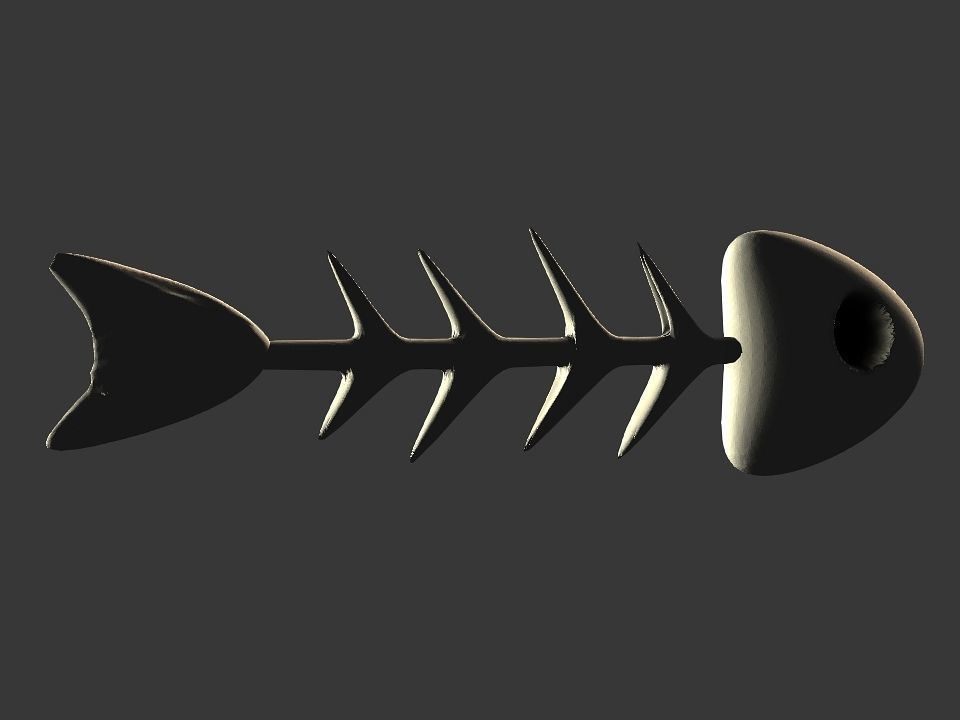 Fish skeletoon 3D print 3D print model_28