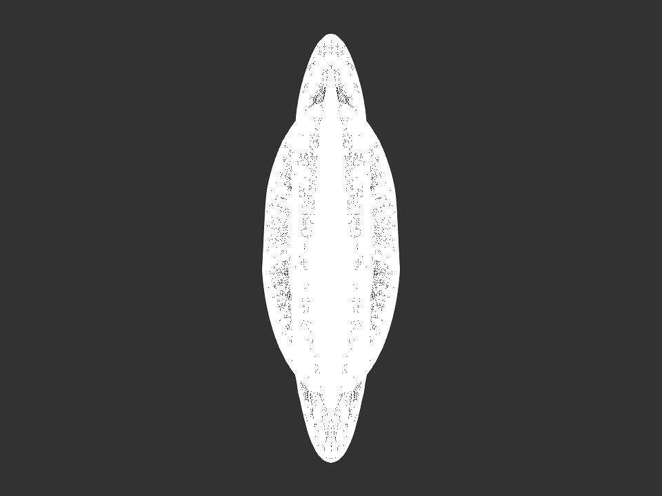 Fish skeletoon 3D print 3D print model_40