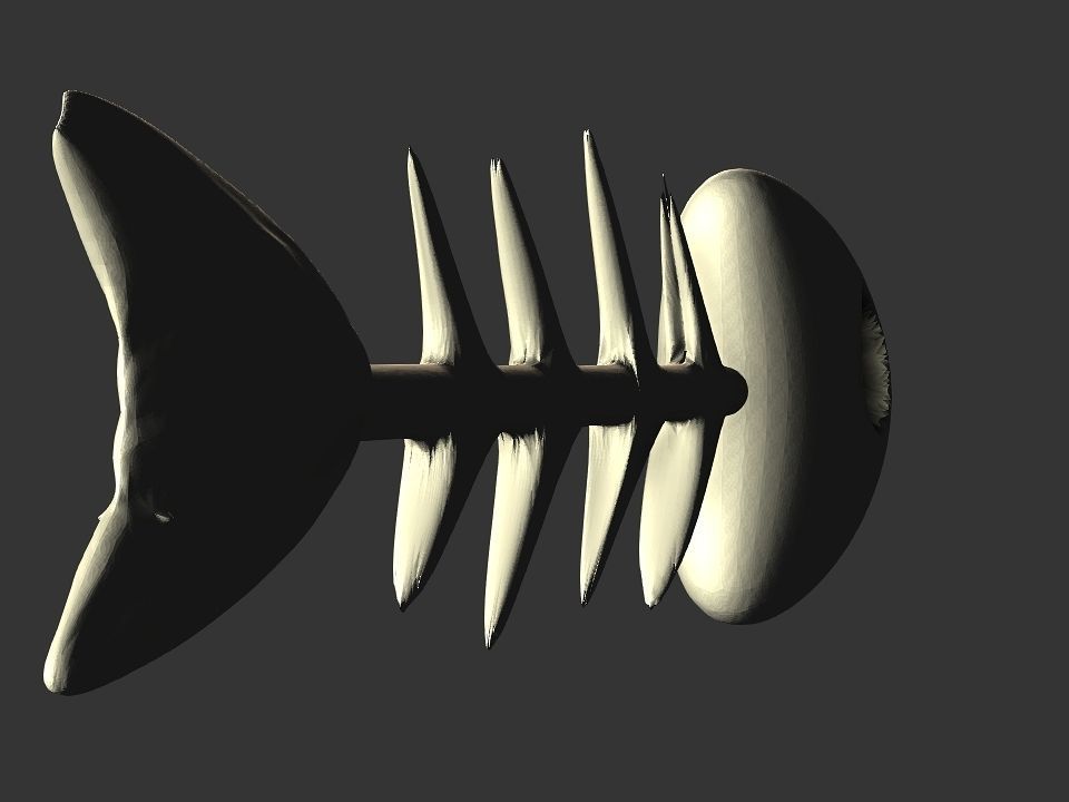 Fish skeletoon 3D print 3D print model_25