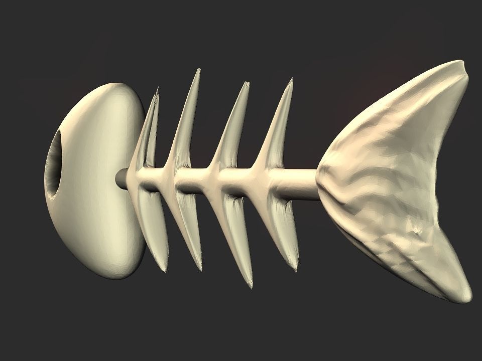 Fish skeletoon 3D print 3D print model_19