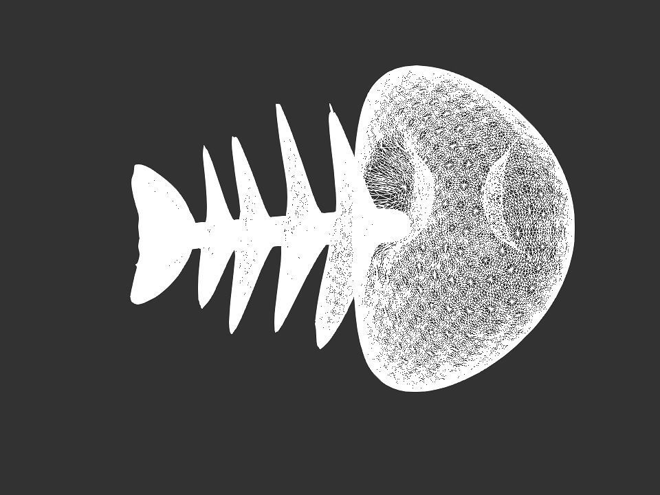 Fish skeletoon 3D print 3D print model_38