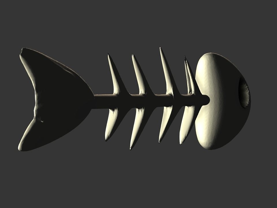 Fish skeletoon 3D print 3D print model_26
