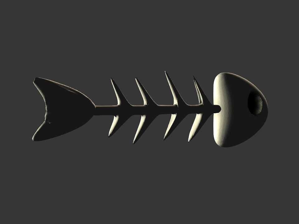 Fish skeletoon 3D print 3D print model_27