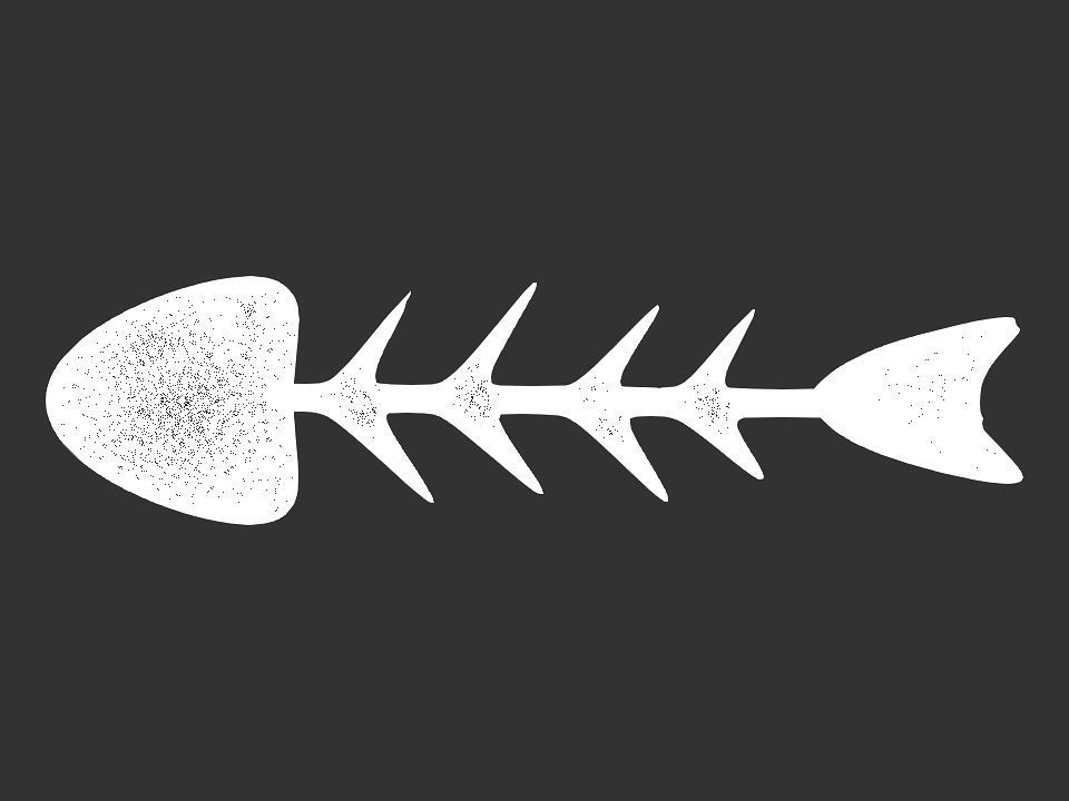 Fish skeletoon 3D print 3D print model_39