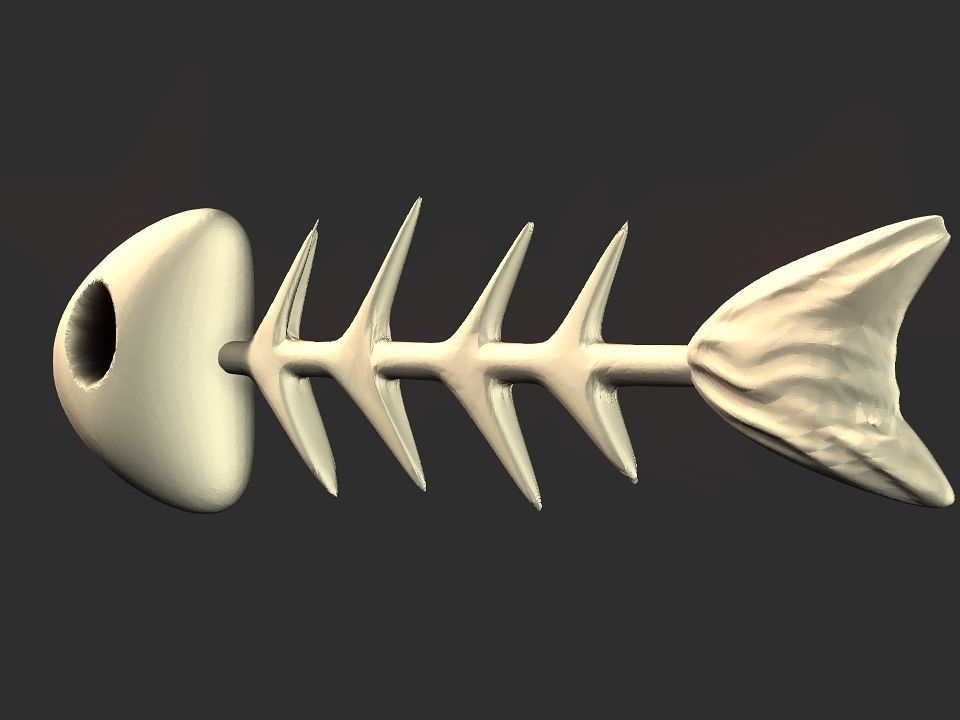 Fish skeletoon 3D print 3D print model_16