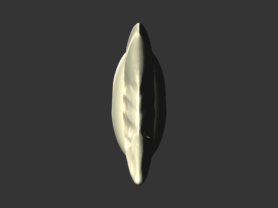 Fish skeletoon 3D print 3D print model_22