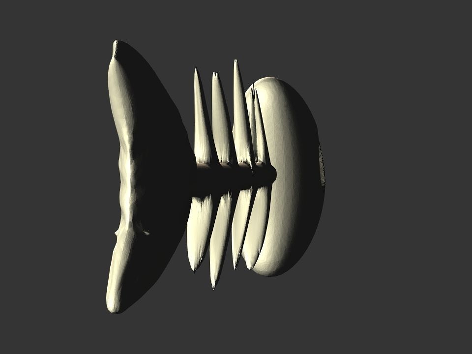 Fish skeletoon 3D print 3D print model_24