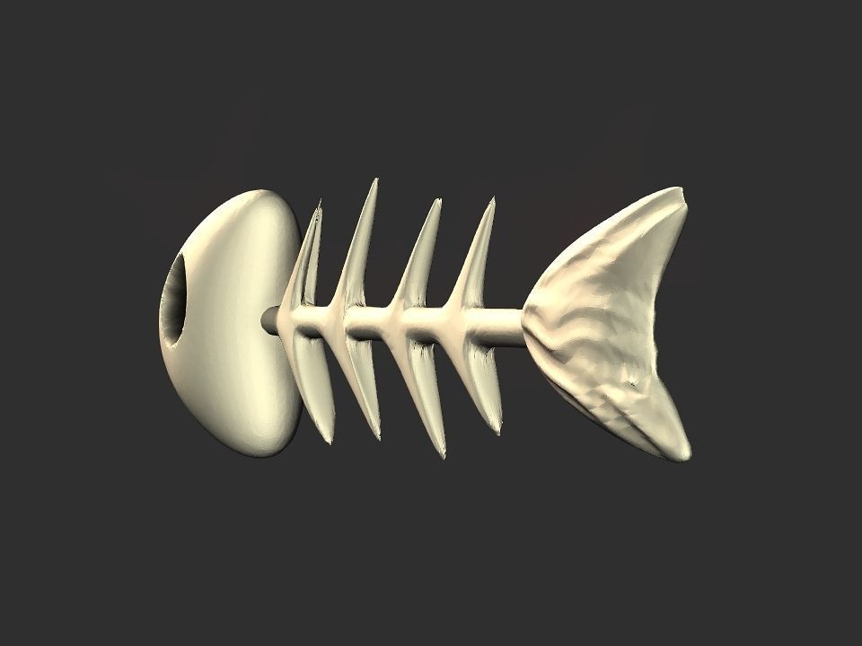 Fish skeletoon 3D print 3D print model_18
