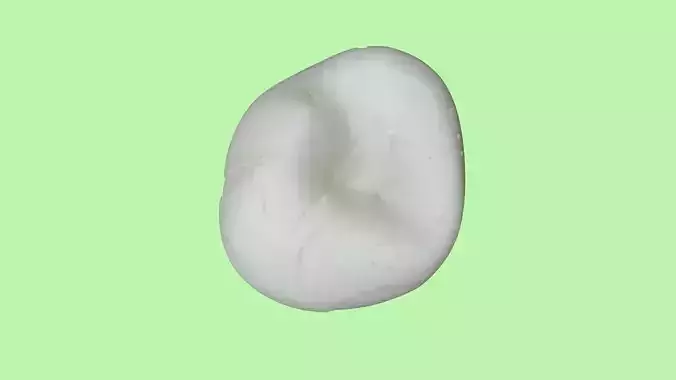 mozzarella di bufala model