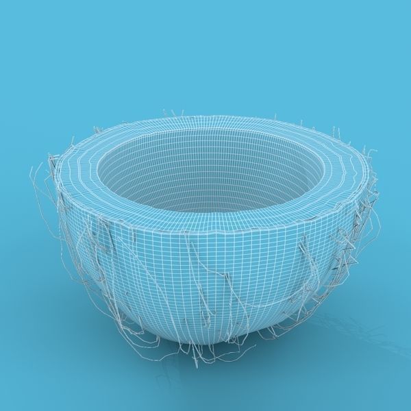 Coconut Half 3D model_12