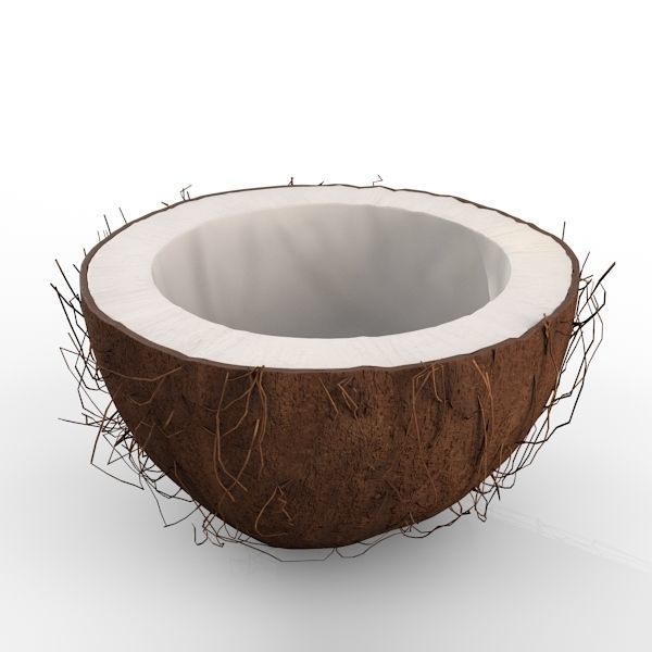 Coconut Half 3D model_7