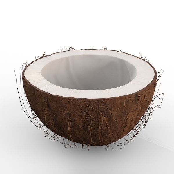 Coconut Half 3D model_1