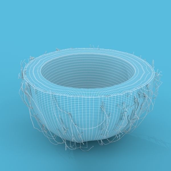 Coconut Half 3D model_14