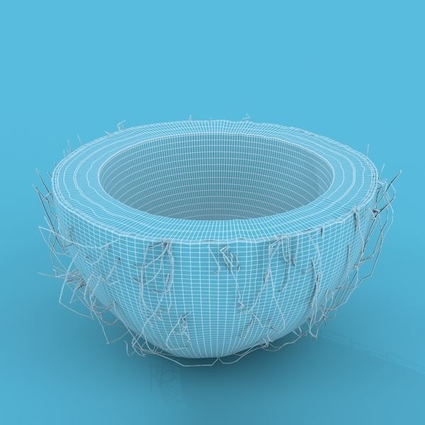 Coconut Half 3D model_8